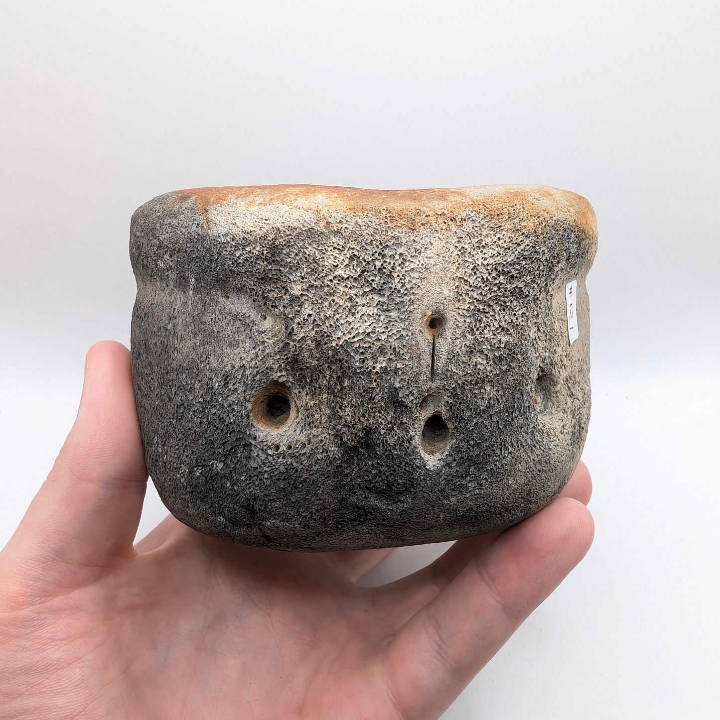 4.6" Fossil Whale Vertebra - Florida