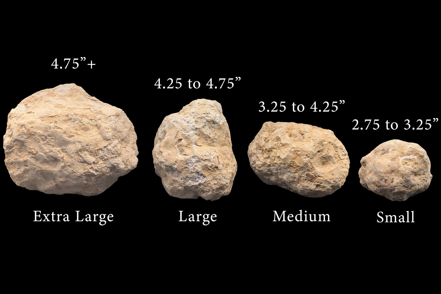 Unbroken Moroccan Geodes (CHOOSE YOUR SIZE)