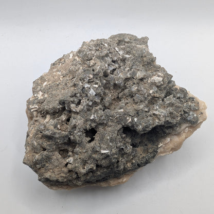 4.10" Fossil Clam With Fluorescent Calcite - Rucks’ Pit, FL
