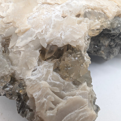 3.46" Fossil Clam With Fluorescent Calcite - Rucks’ Pit, FL