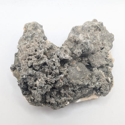 3.46" Fossil Clam With Fluorescent Calcite - Rucks’ Pit, FL