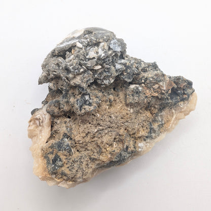 2.43" Fossil Clam Fragment With Fluorescent Calcite - Rucks’ Pit, FL