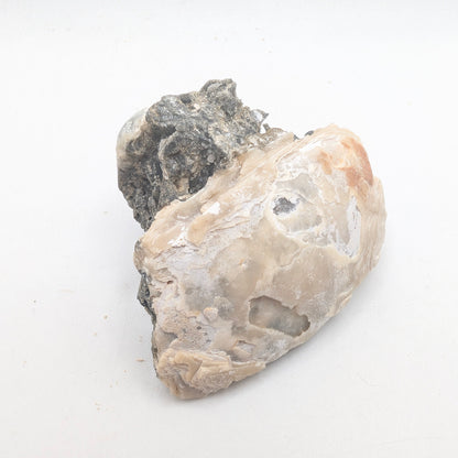 2.43" Fossil Clam Fragment With Fluorescent Calcite - Rucks’ Pit, FL
