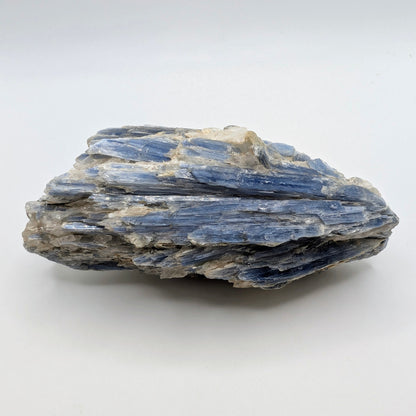 4.18" Vibrant Blue Kyanite Crystals in Quartz - Brazil