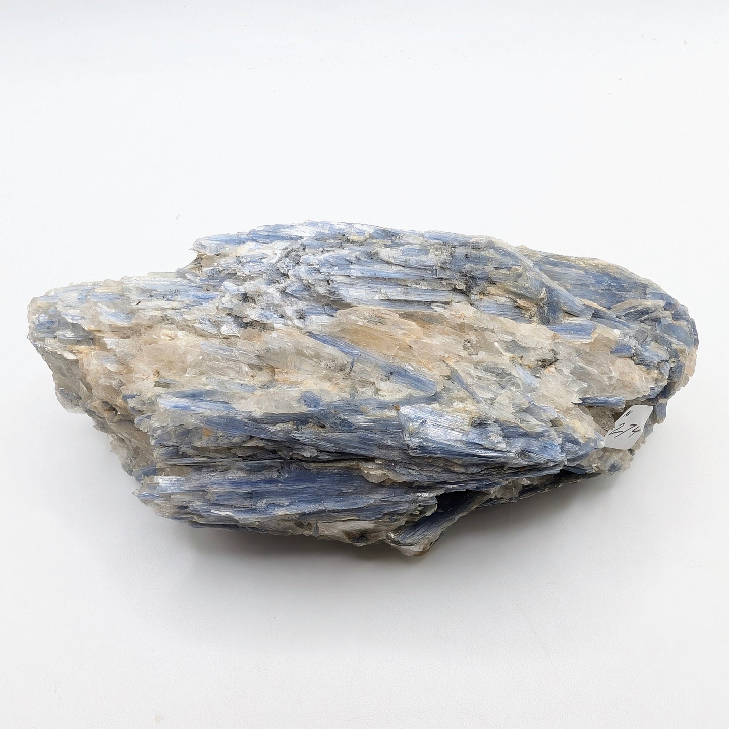 4.18" Vibrant Blue Kyanite Crystals in Quartz - Brazil