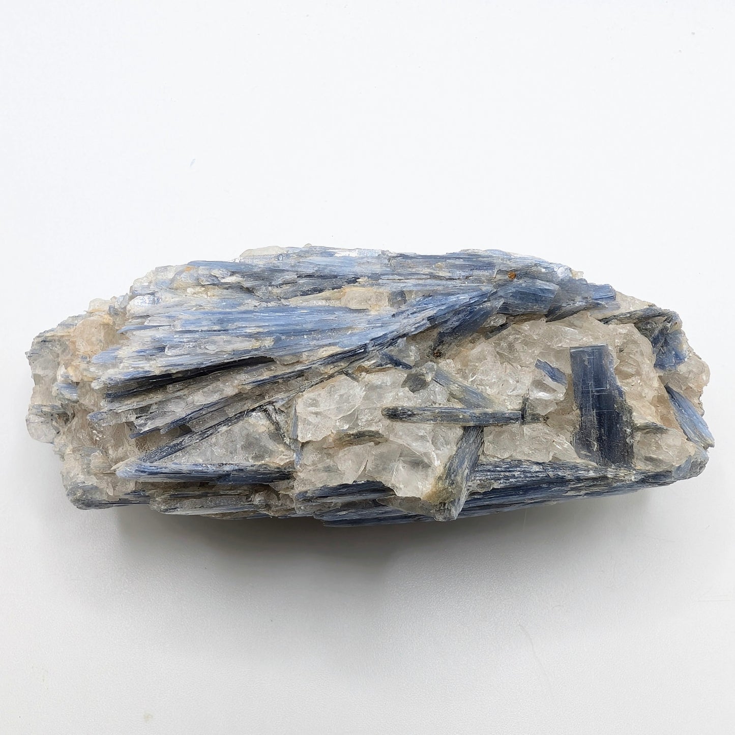 4.18" Vibrant Blue Kyanite Crystals in Quartz - Brazil
