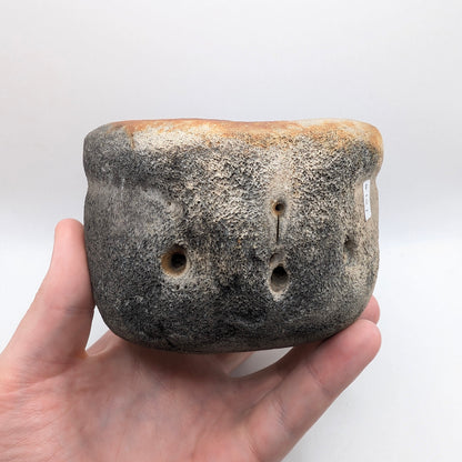4.6" Fossil Whale Vertebra - Florida