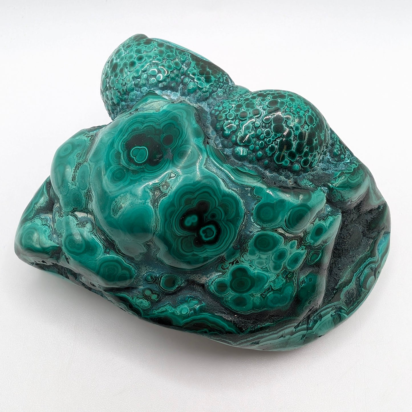 3.3" Flowery Polished Malachite Specimen - DR Congo