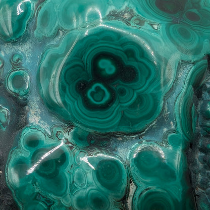 3.3" Flowery Polished Malachite Specimen - DR Congo