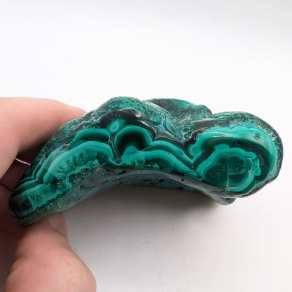 3.3" Flowery Polished Malachite Specimen - DR Congo