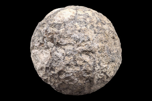 Unbroken Las Choyas "Coconut" Geodes - 3.5 to 3.75"